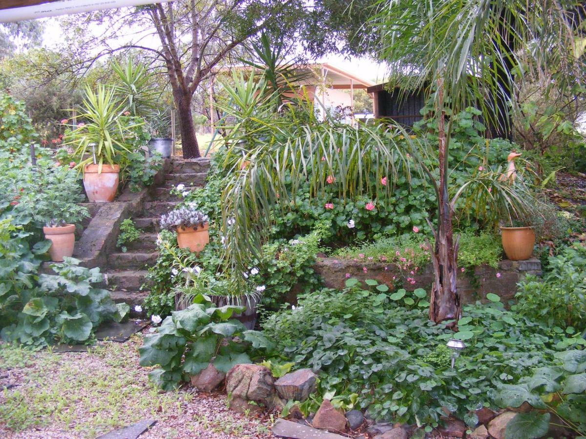 Trevalia Accommodation Penwortham Ngoại thất bức ảnh
